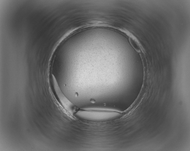 X0000083001333200702160039