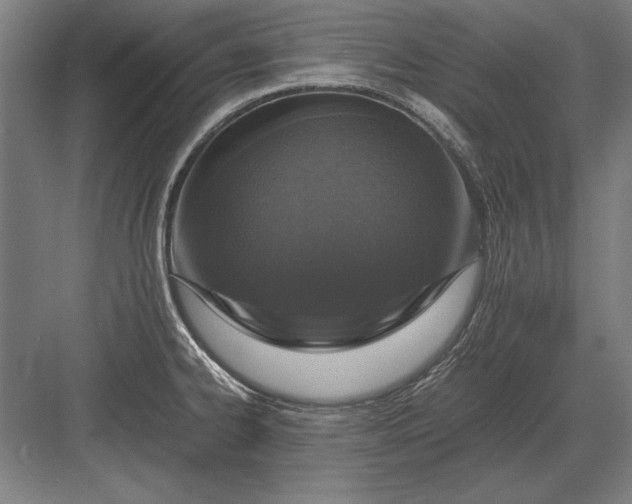 X0000083001334200702160039