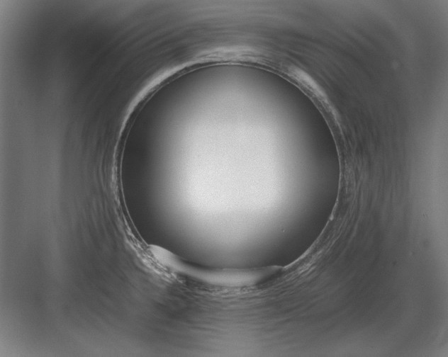 X0000083001336200702160039