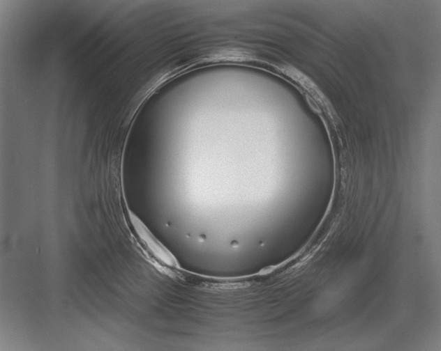 X0000083001337200702160039