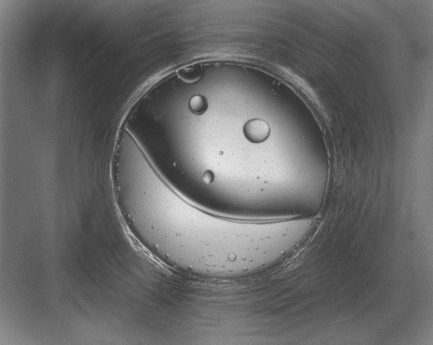 X0000083001338200702160039