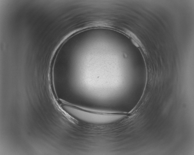 X0000083001339200702160039