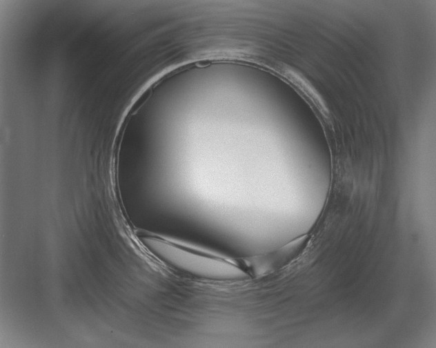 X0000083001340200702160039