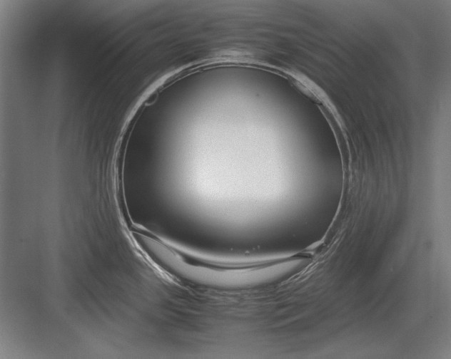 X0000083001341200702160039