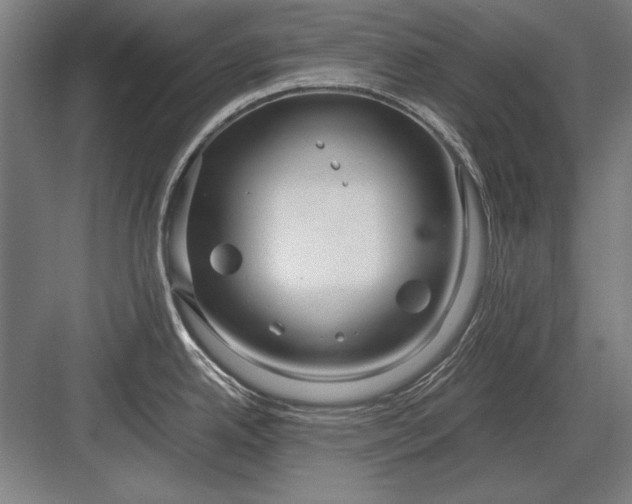 X0000083001342200702160039