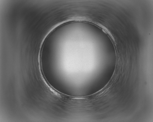 X0000083001343200702160039