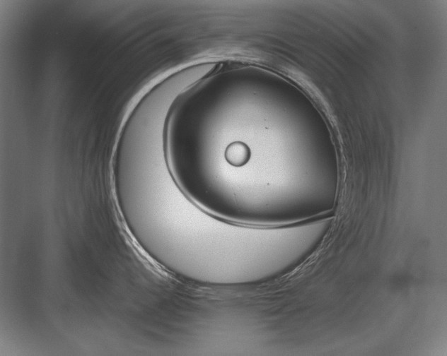 X0000083001344200702160039