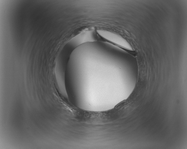 X0000083001345200702160039