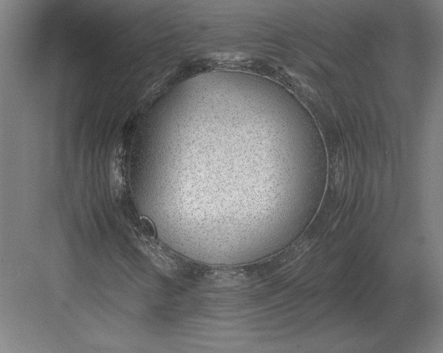 X0000083001346200702160039