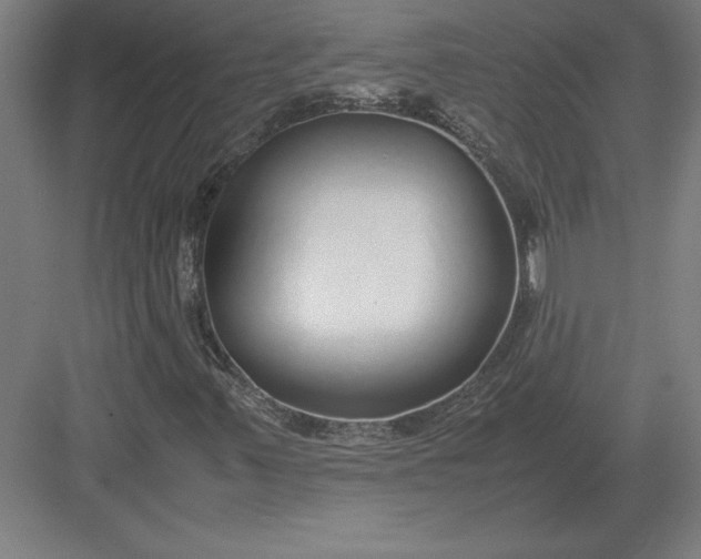 X0000083001347200702160039