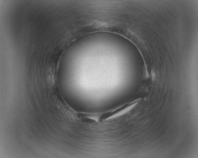 X0000083001348200702160039