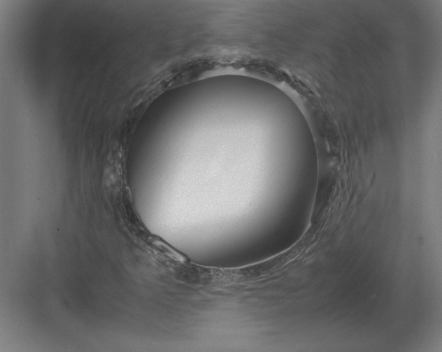 X0000083001349200702160039