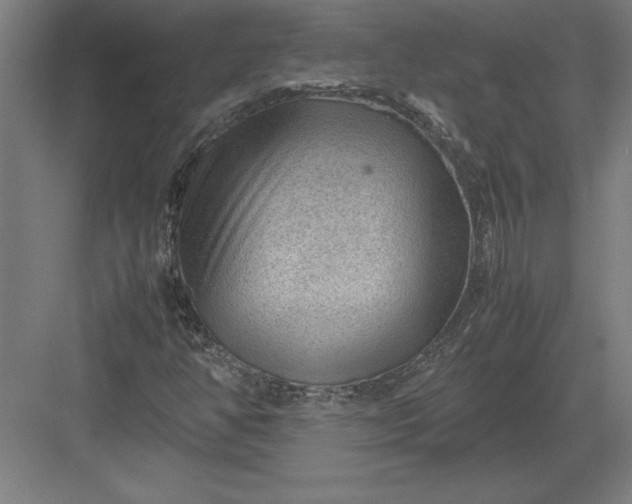 X0000083001350200702160039