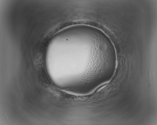 X0000083001351200702160039