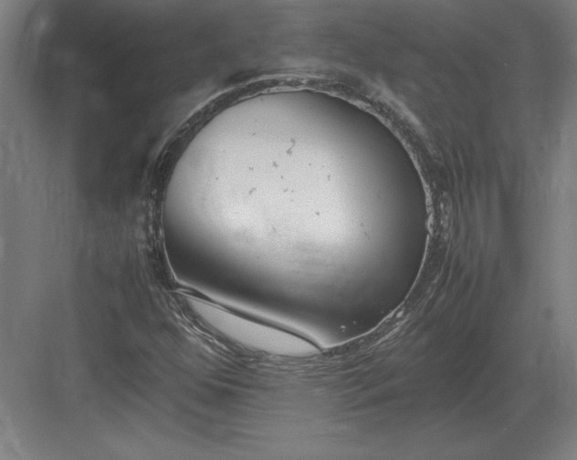 X0000083001352200702160039