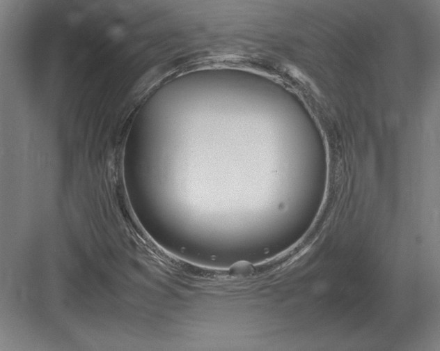 X0000083001353200702160039