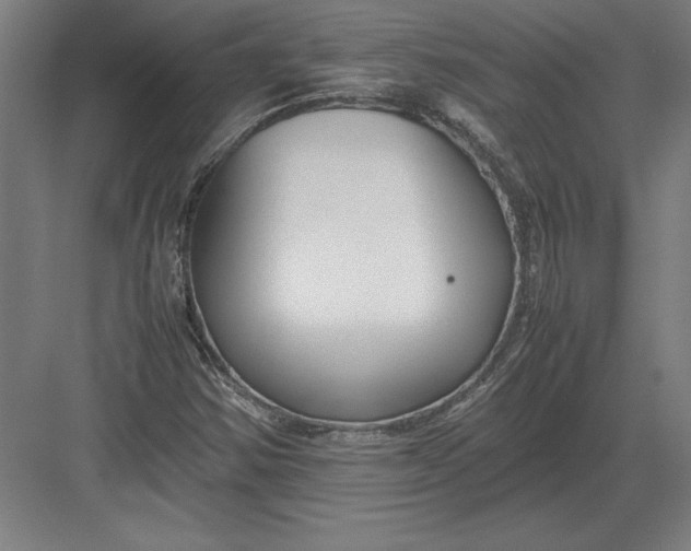 X0000083001354200702160039