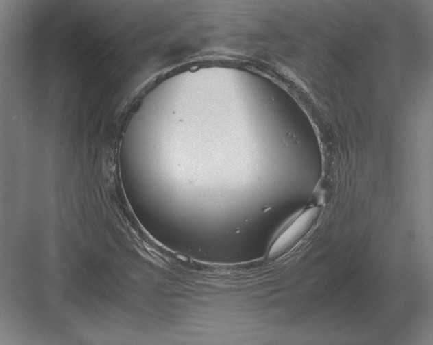 X0000083001355200702160039