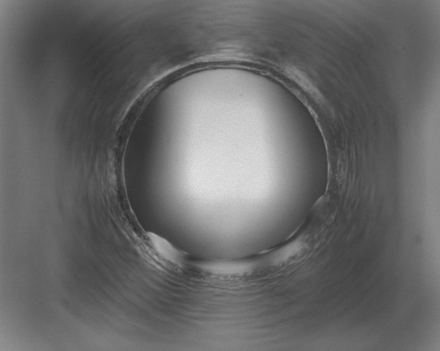 X0000083001356200702160039