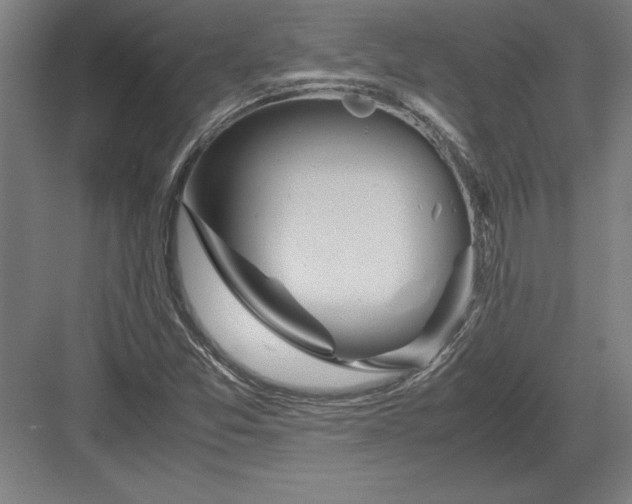 X0000083001357200702160038