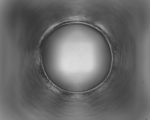 X0000083001358200702160038