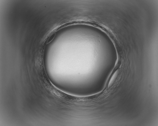 X0000083001359200702160038