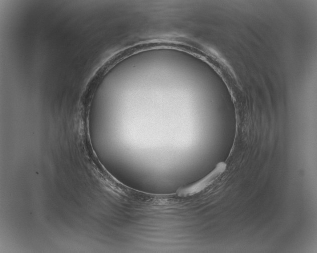 X0000083001360200702160038