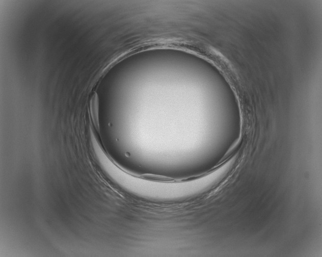 X0000083001361200702160038