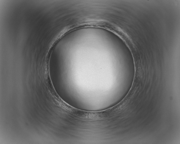 X0000083001362200702160038