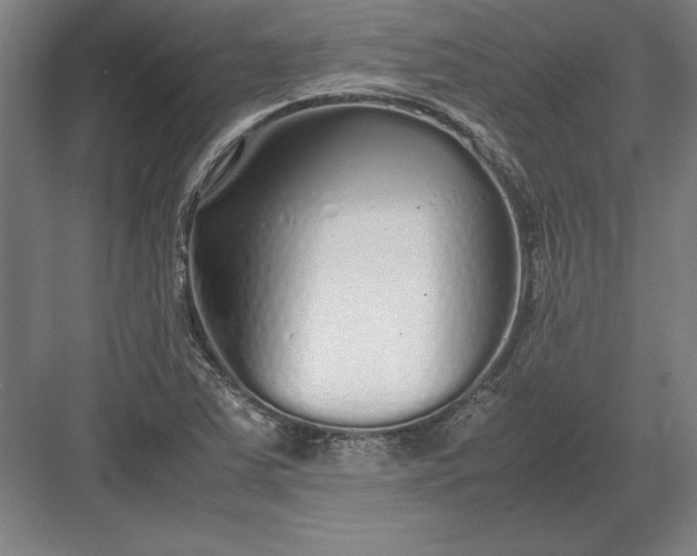 X0000083001363200702160038