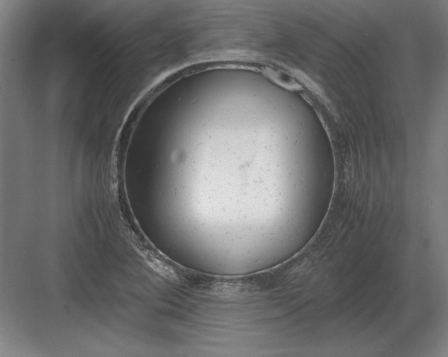 X0000083001364200702160038