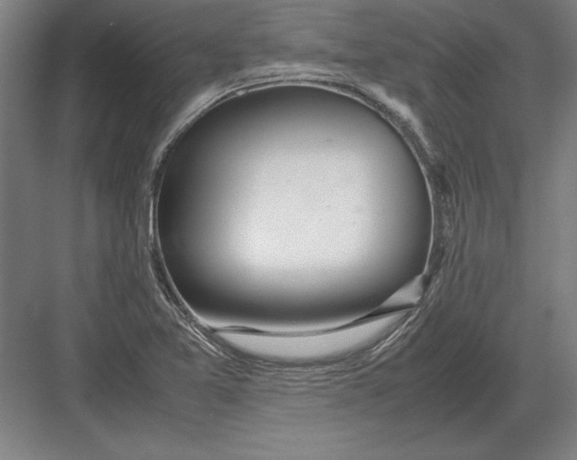 X0000083001365200702160038