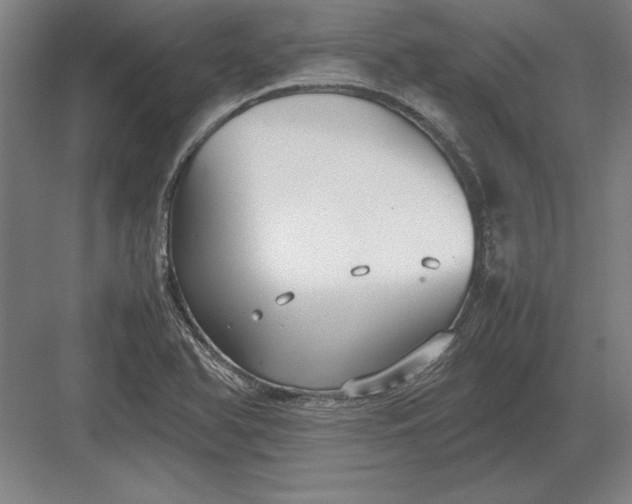 X0000083001366200702160038