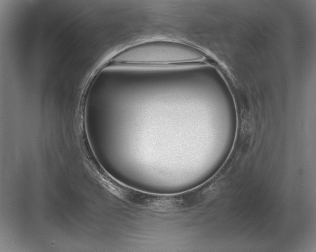 X0000083001367200702160038