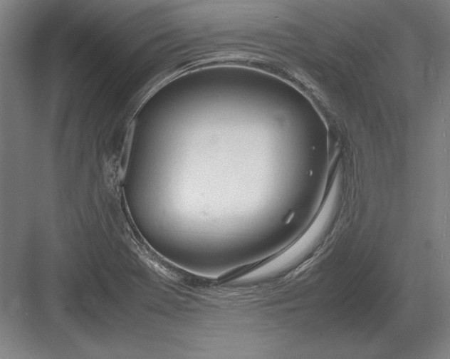 X0000083001369200702160038