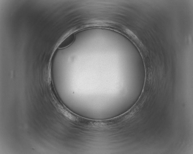 X0000083001370200702160038