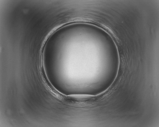 X0000083001371200702160038