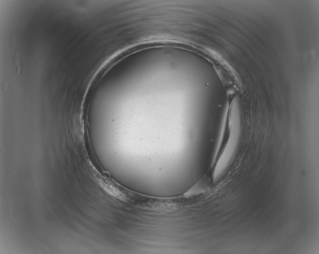 X0000083001372200702160038