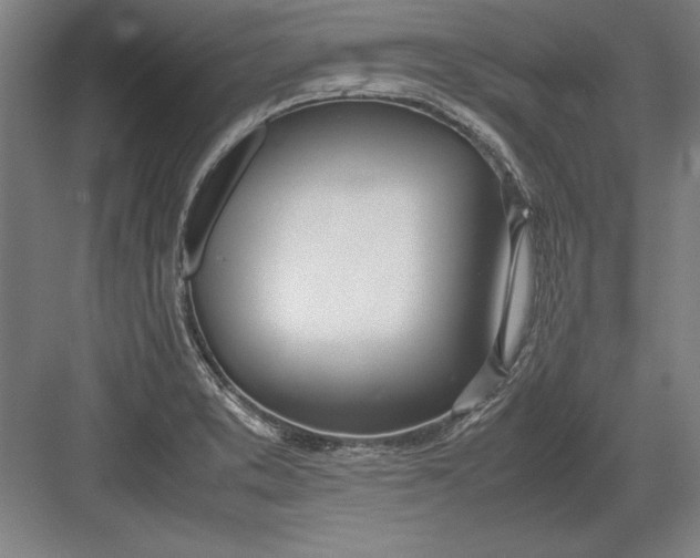 X0000083001373200702160038