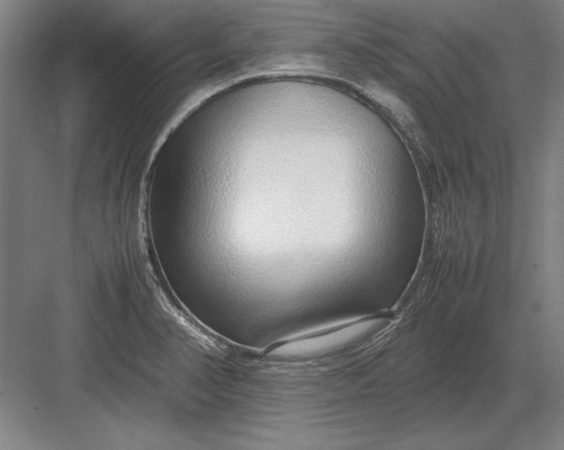 X0000083001374200702160038