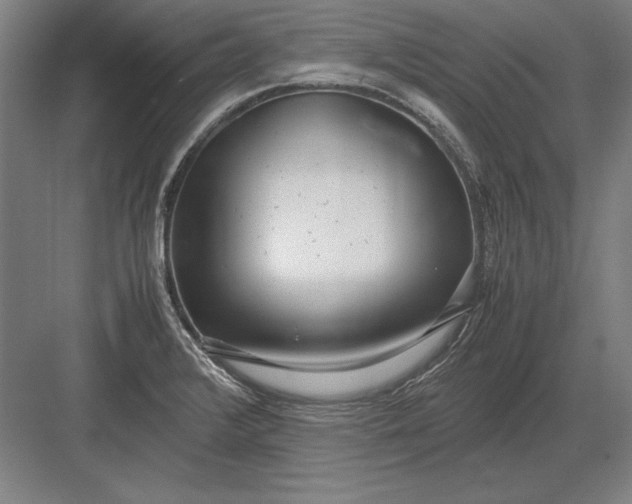 X0000083001376200702160038