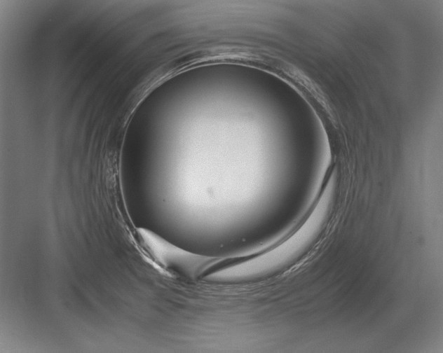 X0000083001377200702160038