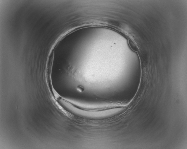 X0000083001379200702160038