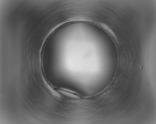 X0000083001380200702160038