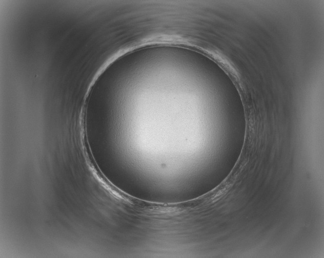 X0000083001382200702160038