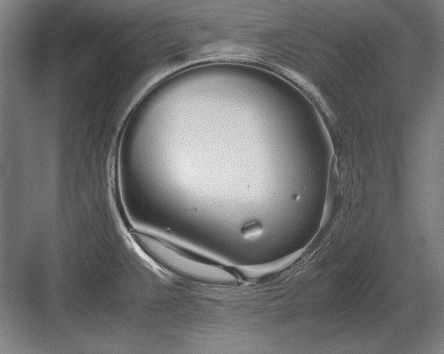 X0000083001383200702160038