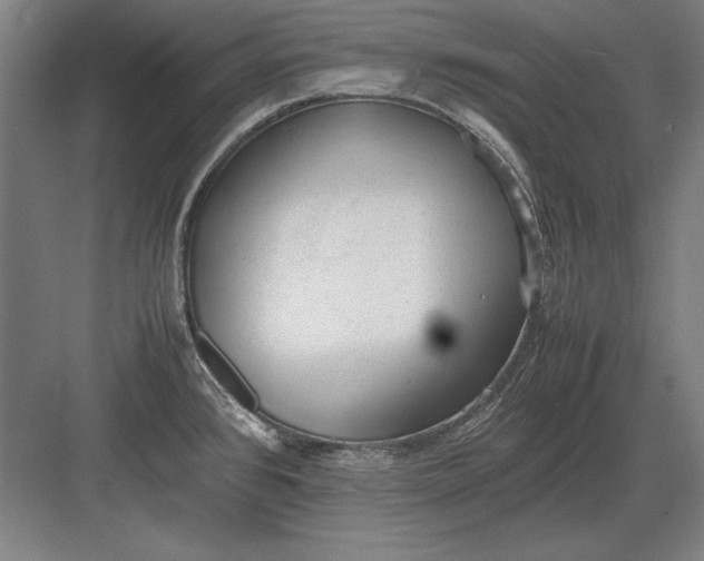 X0000083001384200702160038