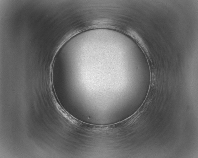 X0000083001386200702160038