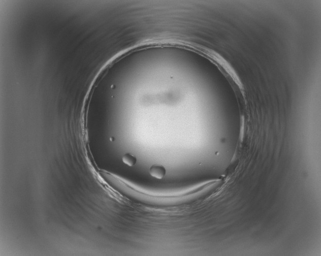 X0000083001388200702160038