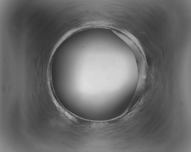 X0000083001389200702160038